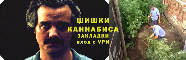крисы Арсеньев