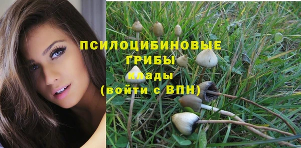 крисы Арсеньев