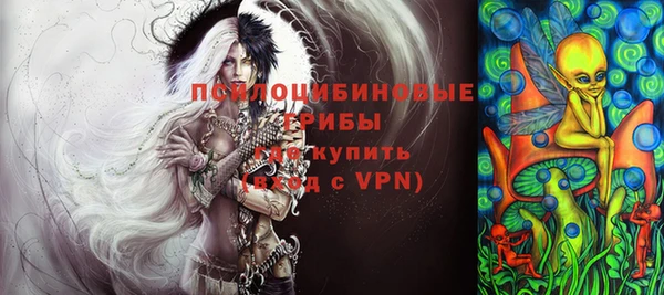 крисы Арсеньев