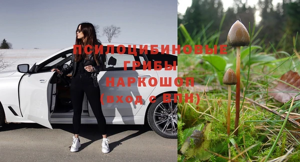 крисы Арсеньев
